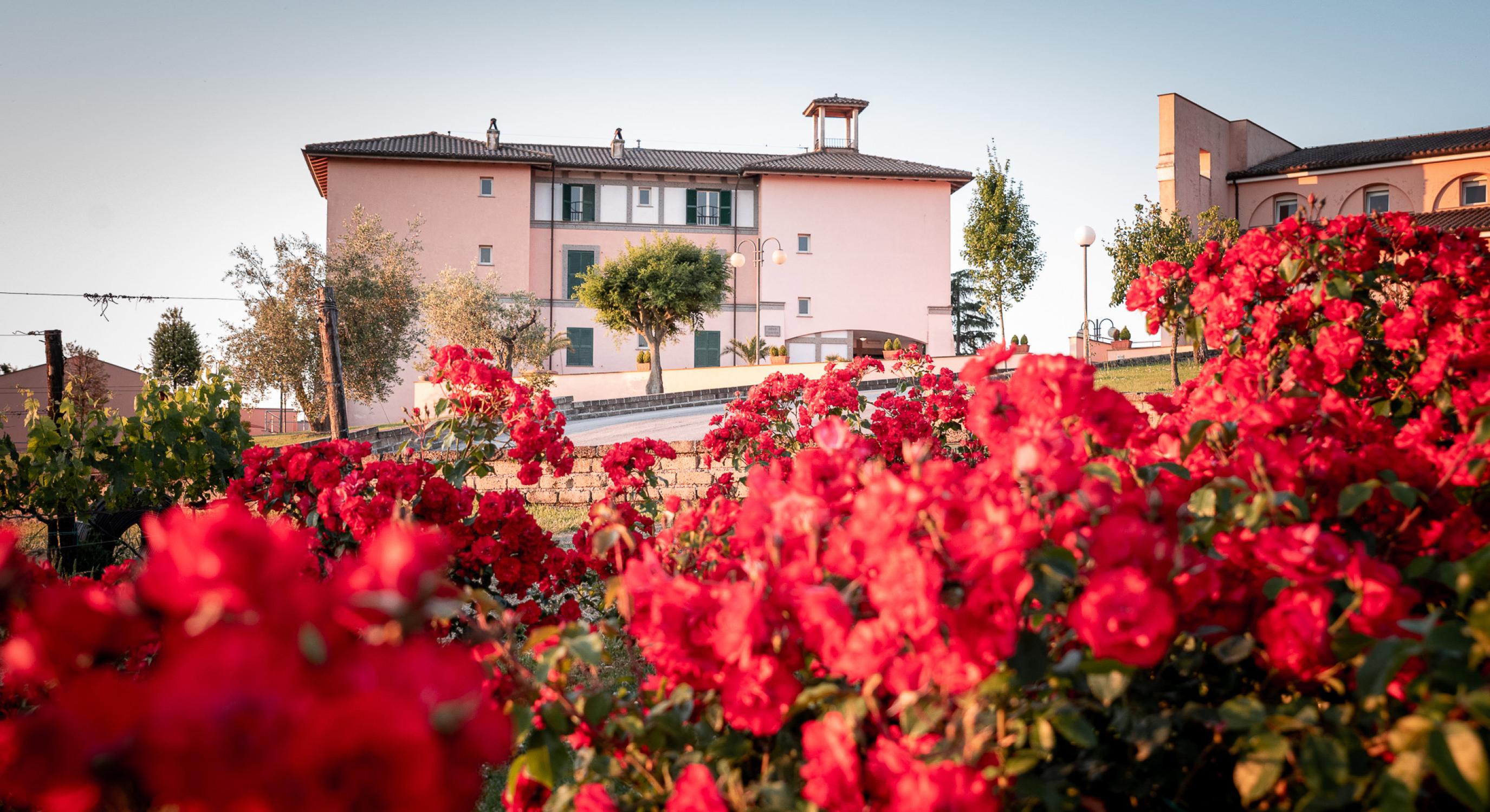 Eugene Constantin Campus in Due Santi, Italy